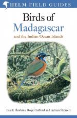 Field Guide to the Birds of Madagascar and the Indian Ocean Islands / Adrian Skerrett (u. a.) / Taschenbuch / Kartoniert Broschiert / Englisch / 2015 / Bloomsbury Publishing PLC / EAN 9781472924094