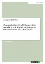 Chancengleichheit im Bildungssystem? Jugendliche mit Migrationshintergrund zwischen Schule und Arbeitsmarkt / Ludwig von Düsterlohe / Taschenbuch / Paperback / 44 S. / Deutsch / 2015 / GRIN Verlag