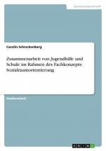 Zusammenarbeit von Jugendhilfe und Schule im Rahmen des Fachkonzepts Sozialraumorientierung / Carolin Schreckenberg / Taschenbuch / Paperback / 28 S. / Deutsch / 2015 / GRIN Verlag / EAN 9783656857235