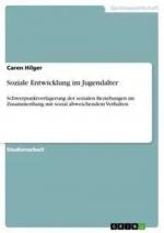 Soziale Entwicklung im Jugendalter / Schwerpunktverlagerung der sozialen Beziehungen im Zusammenhang mit sozial abweichendem Verhalten / Caren Hilger / Taschenbuch / 24 S. / Deutsch / 2014