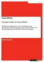 Energiewende in Deutschland / Etablierte Großkonzerne versus Verfechter einer dezentralen Stromerzeugung in den aktuellen Plänen der Bundesregierung zur deutschen Stromversorgung / Sarah Hölting