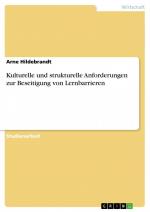 Kulturelle und strukturelle Anforderungen zur Beseitigung von Lernbarrieren / Arne Hildebrandt / Taschenbuch / Paperback / 24 S. / Deutsch / 2013 / GRIN Verlag / EAN 9783656345428