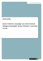 Jesus Christus. Auszüge aus dem letzten übrigen Exemplar "Jesus Christus" von Felix Gross / David Leitha / Taschenbuch / Paperback / 40 S. / Deutsch / 2011 / GRIN Verlag / EAN 9783640968176