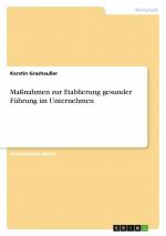 Maßnahmen zur Etablierung gesunder Führung im Unternehmen / Kerstin Grashaußer / Taschenbuch / Paperback / 32 S. / Deutsch / 2017 / GRIN Verlag / EAN 9783656918592