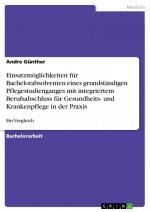 Einsatzmöglichkeiten für Bachelorabsolventen eines grundständigen Pflegestudienganges mit integriertem Berufsabschluss für Gesundheits- und Krankenpflege in der Praxis / Ein Vergleich / Andre Günther