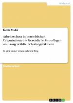 Arbeitsschutz in betrieblichen Organisationen ¿ Gesetzliche Grundlagen und ausgewählte Belastungsfaktoren / Es gibt immer einen sicheren Weg / Jacob Stuke / Taschenbuch / Paperback / 32 S. / Deutsch