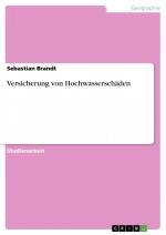 Versicherung von Hochwasserschäden / Sebastian Brandt / Taschenbuch / Paperback / 32 S. / Deutsch / 2009 / GRIN Verlag / EAN 9783640319220