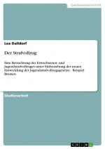 Der Strafvollzug / Eine Betrachtung des Erwachsenen- und Jugendstrafvollzuges unter Einbeziehung der neuen Entwicklung der Jugendstrafvollzugsgesetze - Beispiel Bremen / Lea Dalldorf / Taschenbuch