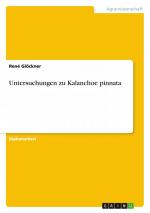René Glöckner: Untersuchungen zu Kalanch