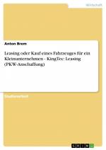 Leasing oder Kauf eines Fahrzeuges für ein Kleinunternehmen - KingTec: Leasing (PKW-Anschaffung) / Anton Brem / Taschenbuch / Paperback / 24 S. / Deutsch / 2007 / GRIN Verlag / EAN 9783638872829