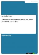 Arbeitsbeschaffungsmaßnahmen im Dritten Reich von 1933-1936 / Andre Bastisch / Taschenbuch / Paperback / 96 S. / Deutsch / 2007 / GRIN Verlag / EAN 9783638686556