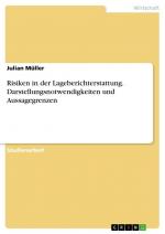 Risiken in der Lageberichterstattung. Darstellungsnotwendigkeiten und Aussagegrenzen / Julian Müller / Taschenbuch / Paperback / 28 S. / Deutsch / 2019 / GRIN Verlag / EAN 9783668873469