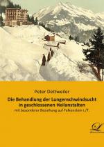 Die Behandlung der Lungenschwindsucht in geschlossenen Heilanstalten / mit besonderer Beziehung auf Falkenstein i. T. / Peter Dettweiler / Taschenbuch / Paperback / 380 S. / Deutsch / 2020