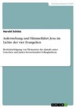 Auferstehung und Himmelfahrt Jesu im Lichte der vier Evangelien / Berücksichtigung von Elementen des damals unter Griechen und Juden herrschenden Volksglaubens / Harald Schütz / Taschenbuch / 36 S.