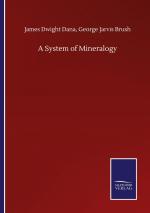 A System of Mineralogy / James Dwight Brush Dana / Taschenbuch / Paperback / Englisch / 2020 / Outlook / EAN 9783752512885