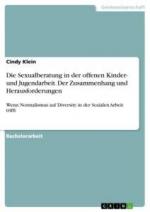 Die Sexualberatung in der offenen Kinder- und Jugendarbeit. Der Zusammenhang und Herausforderungen / Wenn Normalismus auf Diversity in der Sozialen Arbeit trifft / Cindy Klein / Taschenbuch / 68 S.