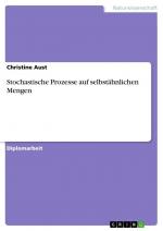 Stochastische Prozesse auf selbstähnlichen Mengen / Christine Aust / Taschenbuch / 96 S. / Deutsch / 2018 / GRIN Verlag / EAN 9783668674226