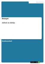 Arbeit in Afrika / Anonymous / Taschenbuch / Paperback / 28 S. / Deutsch / 2022 / GRIN Verlag / EAN 9783346791993