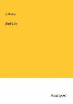 Bird-Life / A. Brehm / Taschenbuch / Paperback / Englisch / 2023 / Anatiposi Verlag / EAN 9783382506322