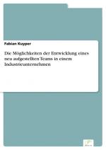 Die Möglichkeiten der Entwicklung eines neu aufgestellten Teams in einem Industrieunternehmen / Fabian Kuyper / Taschenbuch / Paperback / 44 S. / Deutsch / 2023 / Diplom.de / EAN 9783961169771