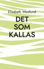 Det som kallas / Elisabeth Westlund / Taschenbuch / Vitt brus / Paperback / Schwedisch / 2023 / Annebergs Förlag / EAN 9789152754481
