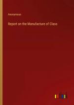 Report on the Manufacture of Class / Anonymous / Taschenbuch / Paperback / Englisch / 2024 / Outlook Verlag / EAN 9783385336919