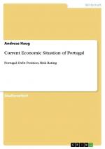 Current Economic Situation of Portugal / Portugal: Debt Position, Risk Rating / Andreas Haug / Taschenbuch / Paperback / 24 S. / Deutsch / 2012 / GRIN Verlag / EAN 9783656168461