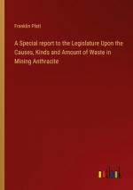 A Special report to the Legislature Upon the Causes, Kinds and Amount of Waste in Mining Anthracite / Franklin Platt / Taschenbuch / Paperback / Englisch / 2024 / Outlook Verlag / EAN 9783385451520