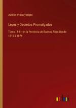 Leyes y Decretos Promulgados / Tomo I & II - en la Provincia de Buenos Aires Desde 1810 á 1876 / Aurelio Prado y Rojas / Taschenbuch / Paperback / Spanisch / 2024 / Outlook Verlag / EAN 9783368055059