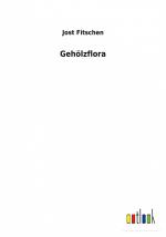 Gehölzflora / Jost Fitschen / Taschenbuch / Paperback / 236 S. / Deutsch / 2022 / Outlook Verlag / EAN 9783752471489