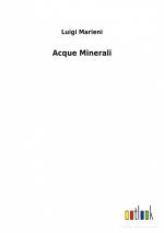 Acque Minerali / Luigi Marieni / Taschenbuch / Paperback / Italienisch / 2022 / Outlook Verlag / EAN 9783752479706