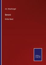 Benoni / Dritter Band / A. E. Brachvogel / Taschenbuch / Paperback / 324 S. / Deutsch / 2022 / Outlook / EAN 9783375115548