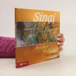 Johann Kohl: Sinai