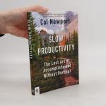 Slow Productivity