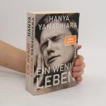 Hanya Yanagihara: Ein wenig Leben: Roman