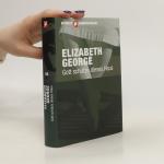 Elizabeth George: Gott schütze dieses H