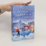 Mandy Baggot: Winterzauber im Central Pa