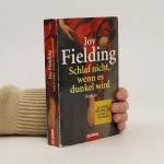 Joy Fielding: Schlaf nicht, wenn es dunk