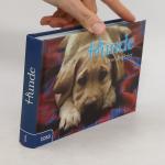 tosa GmbH: Hunde: Treue Begleiter