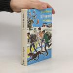Enid Blyton: Fünf Freunde im Nebel