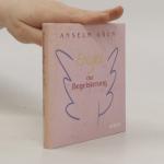 Anselm Grün: Engel der Begeisterung