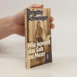 Brigitte Schwaiger: Wie kommt das Salz i