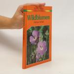 Wildblumen