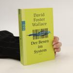 David Foster Wallace: Der Besen im Syste David Foster Wallace: Der Besen im Syste