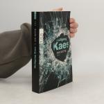 Wolfgang Kaes: Die Kette Wolfgang Kaes: Die Kette