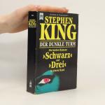 Stephen King: Der dunkle Turm: Schwarz. 