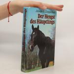 Der Hengst des Häuptlings