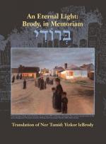Aviv Meltzer: An Eternal Light