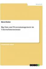 Big Data und Prozessmanagement im Unternehmenseinsatz