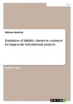 Limitation of liability clauses in contracts for large-scale international projects